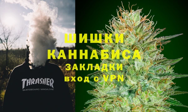 прущие грибы Армянск