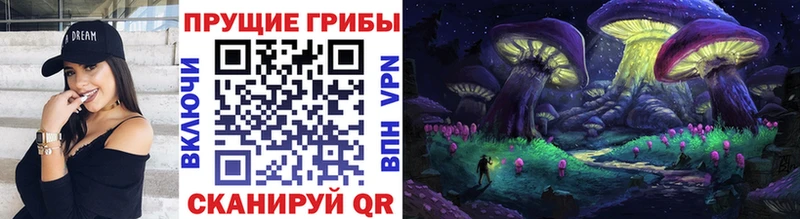 Купить закладки  Пыть-Ях  Галлюциногенные грибы Cubensis 